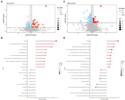 Urine metabolomics phenotyping and urinary biomarker exploratory in mild cognitive impairment and Alzheimer’s disease